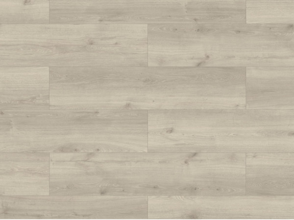 Laminaatvloer Skyline Trend Harmonie Eik grijs breedplaat