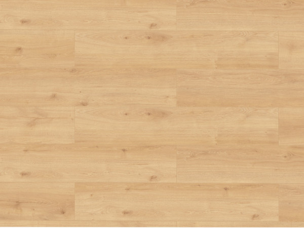 Laminaatvloer Skyline Trend Harmonie Eik natrl beige wideplank