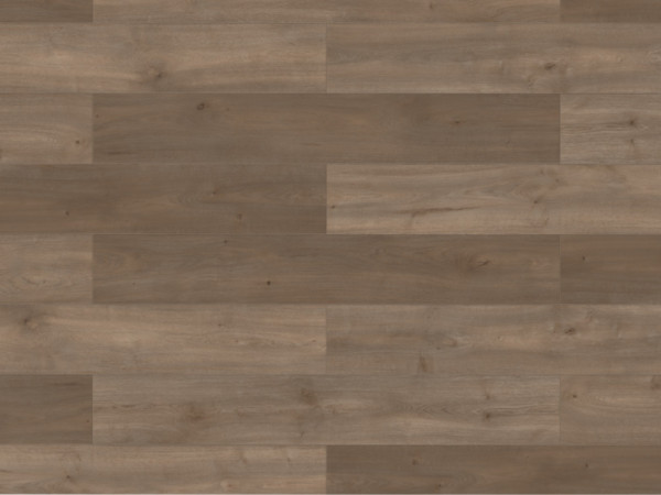 Laminaat Lifestyle Trend Bellemont Eik grijsbruin breedplaat