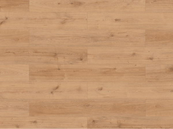 Laminaatvloer Skyline Trend Harmonie Eik lichtnatuurlijk wideplank